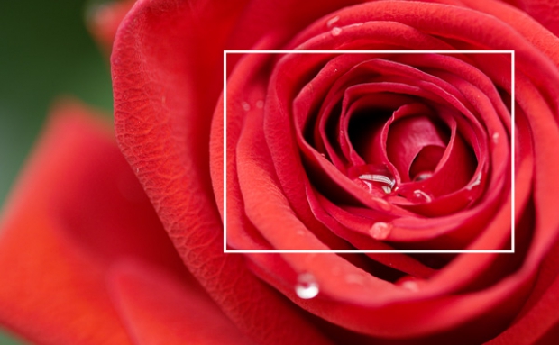 RED8K4